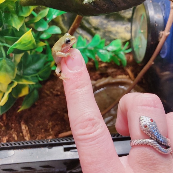 Meet Caitlin & her babies - Picture 2 of 8